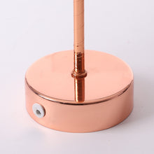 Load image into Gallery viewer, Natural Ostrich Feather Lamp