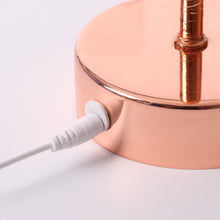 Load image into Gallery viewer, Natural Ostrich Feather Lamp